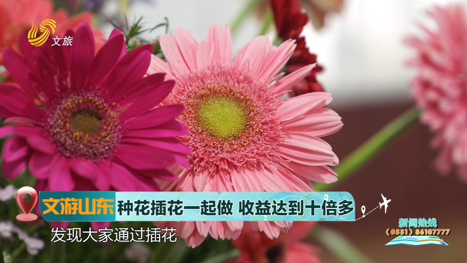 【文游山东】种花插花一起做  收益达到十倍多