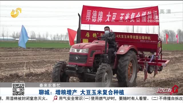 【春来农事忙】聊城：增粮增产 大豆玉米复合种植