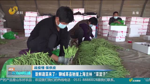 【战疫情 保供应】新鲜蔬菜来了！聊城莘县驰援上海吉林“菜篮子”