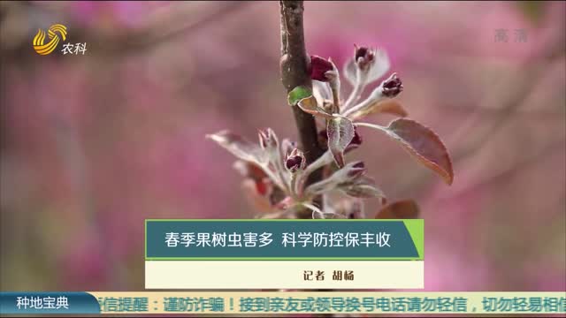 春季果树虫害多 科学防控保丰收