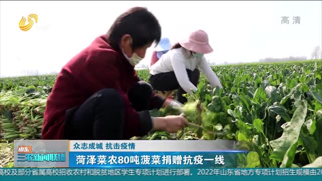【众志成城 抗击疫情】菏泽菜农80吨菠菜捐赠抗疫一线