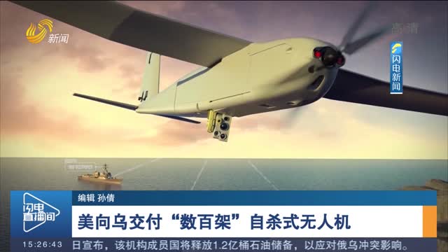 美向乌交付“数百架”自杀式无人机
