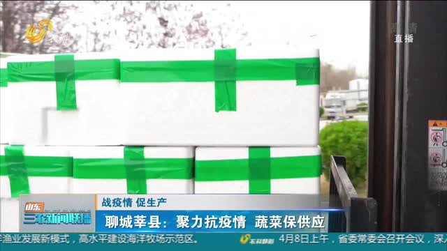 【战疫情 促生产】聊城莘县：聚力抗疫情 蔬菜保供应