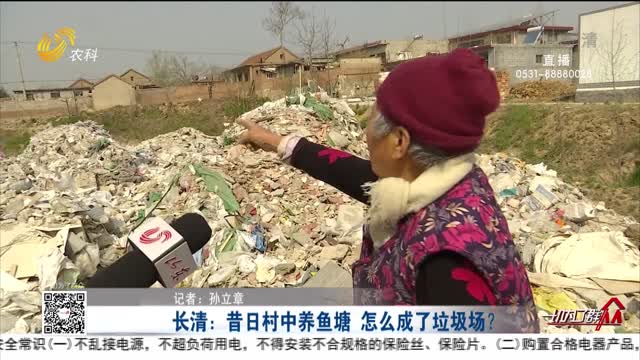 长清：昔日村中养鱼塘 怎么成了垃圾场？