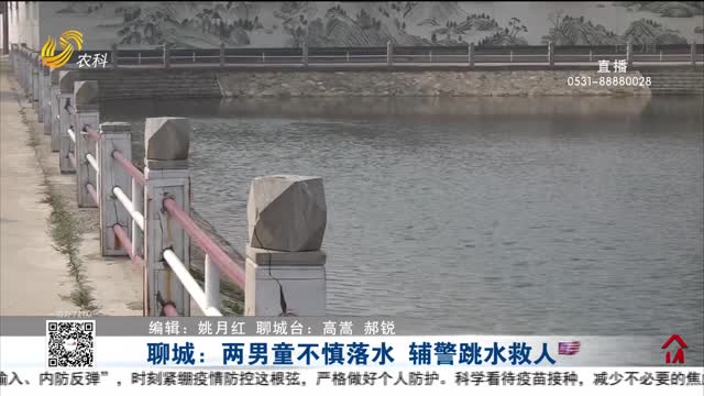 聊城：两男童不慎落水 辅警跳水救人