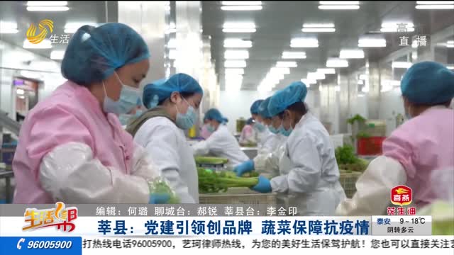 莘县：党建引领创品牌 蔬菜保障抗疫情