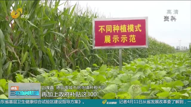 【保障国家粮食安全】禹城：推广新型种植模式 实现大豆产业振兴