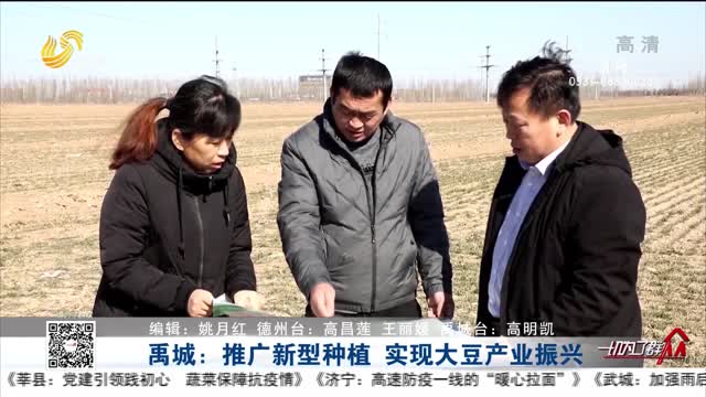 禹城：推广新型种植 实现大豆产业振兴