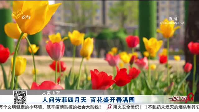【大美山东】人间芳菲四月天 百花盛开春满园