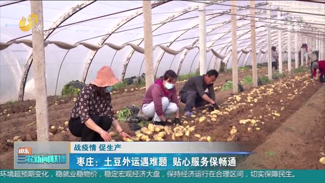 【战疫情 促生产】枣庄：土豆外运遇难题 贴心服务保畅通