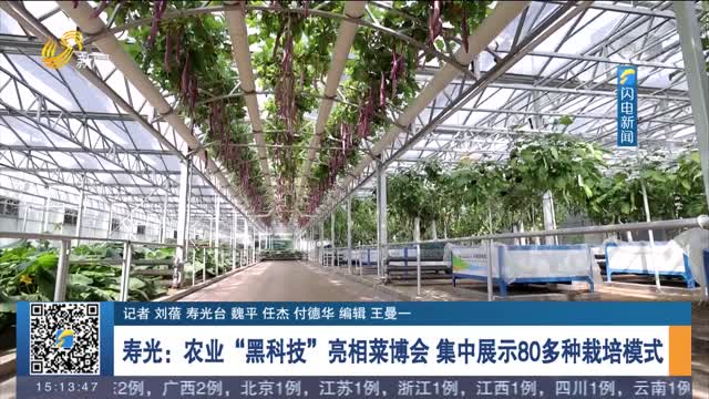 寿光：农业“黑科技”亮相菜博会 集中展示80多种栽培模式
