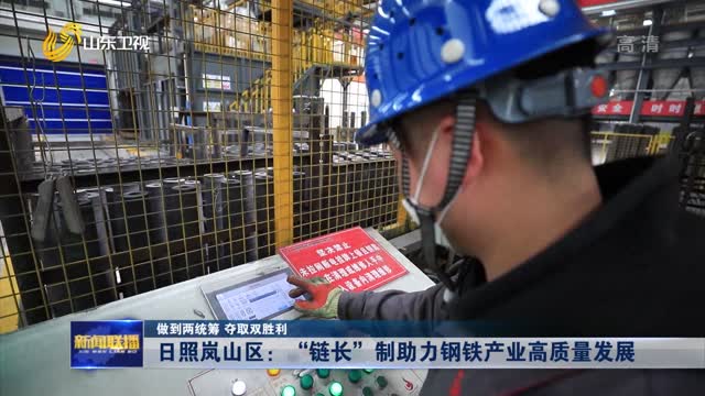【做到两统筹 夺取双胜利】日照岚山区：“链长”制助力钢铁产业高质量发展