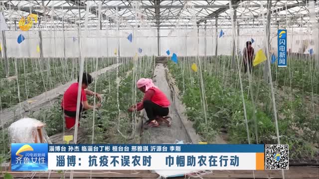 淄博：抗疫不誤農時 巾幗助農在行動