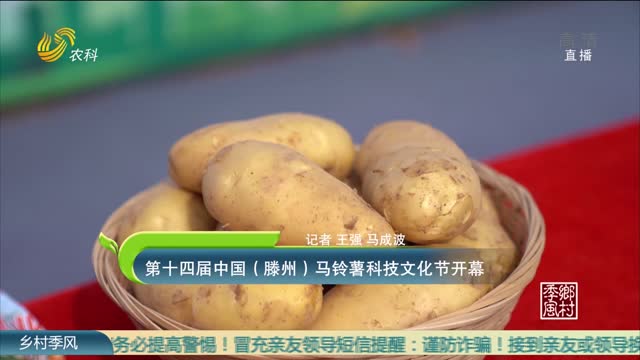 第十四届中国（滕州）马铃薯科技文化节开幕