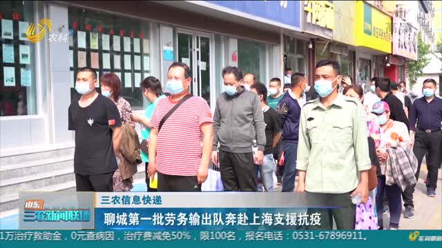 【三农信息快递】聊城第一批劳务输出队奔赴上海支援抗疫