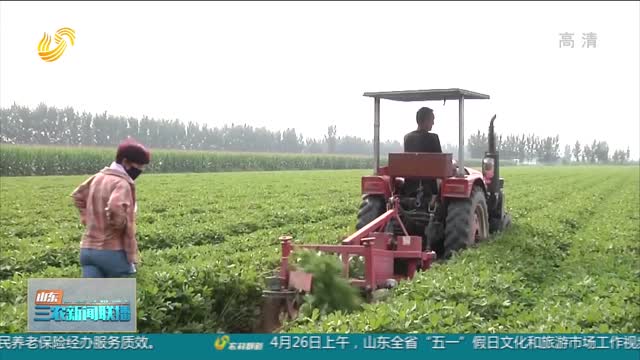 【春季农业生产】平度：花生迎来播种季 智能农机显身手