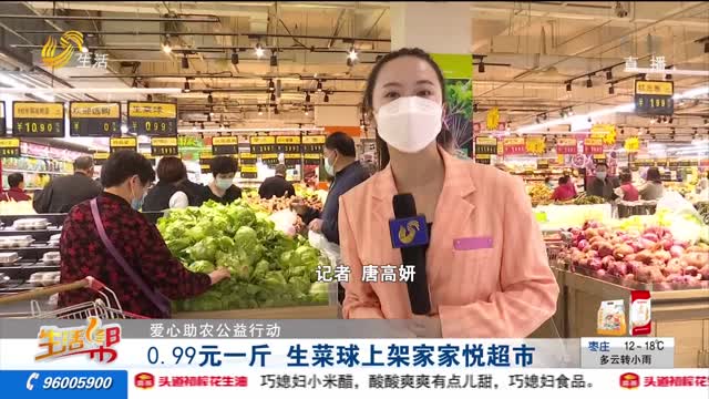 【爱心助农公益行动】0.99元一斤 生菜球上架家家悦超市