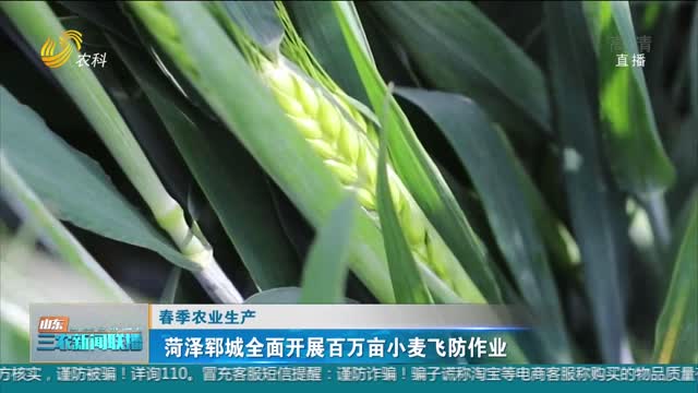 【春季农业生产】菏泽郓城全面开展百万亩小麦飞防作业