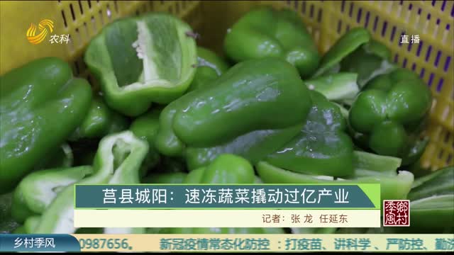 莒縣城陽：速凍蔬菜撬動過億產業
