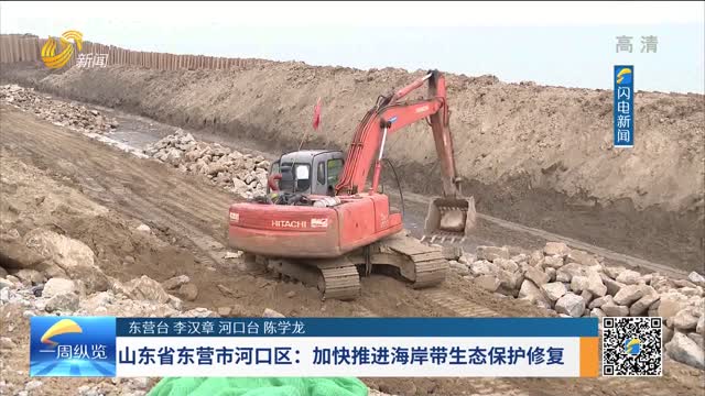 山東省東營市河口區：加快推進海岸帶生態保護修復
