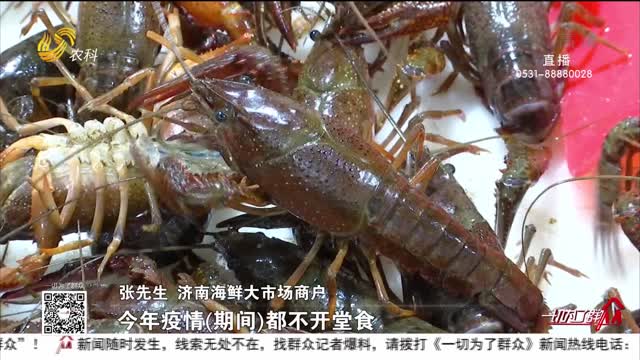 【记者观察】济南：小龙虾大量上市 均价较去年低3-4元
