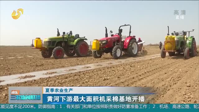 【夏季农业生产】黄河下游最大面积机采棉基地开播
