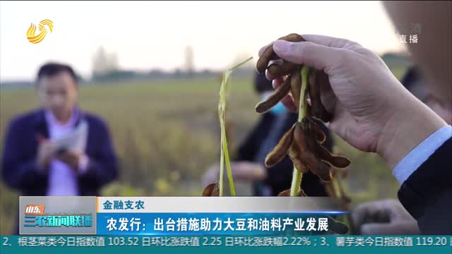 【金融支农】农发行：出台措施助力大豆和油料产业发展
