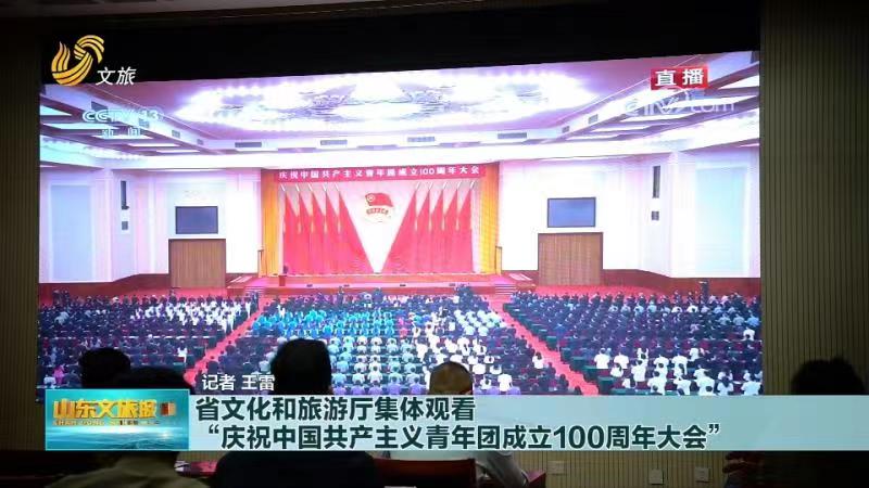 省文化和旅游廳集體觀看“慶祝中國共產主義青年團成立100周年大會”