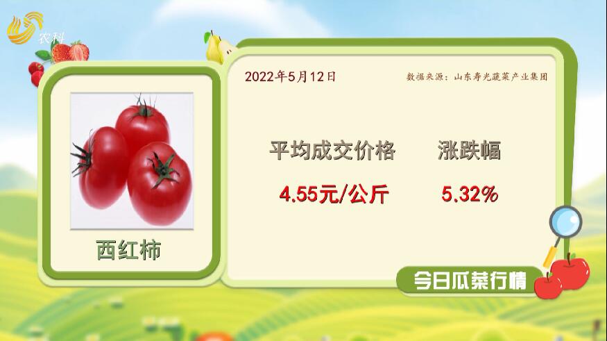 瓜菜價格20220512