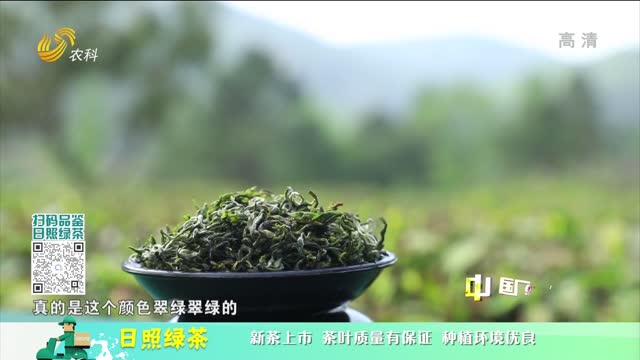 20220516《中国原产递》：日照绿茶