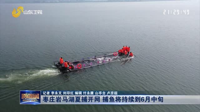 枣庄岩马湖夏捕开网 捕鱼将持续到6月中旬