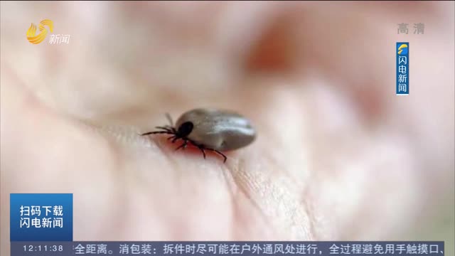 【闪电热播榜】杭州女子露营被蜱虫咬伤 一半虫身钻进皮肤