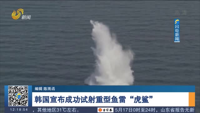 韩国宣布成功试射重型鱼雷“虎鲨”