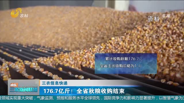 【三农信息快递】176.7亿斤！全省秋粮收购结束