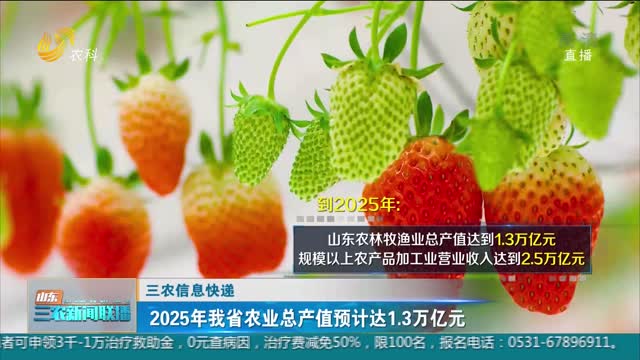 【三农信息快递】2025年我省农业总产值预计达1.3万亿元