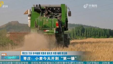 【“三夏”进行时】枣庄：小麦今天开割“第一镰”