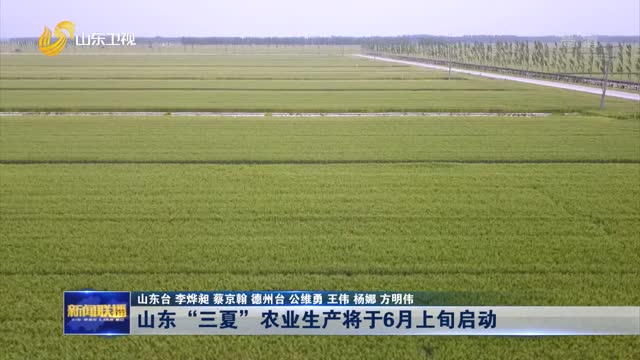 山东“三夏”农业生产将于6月上旬启动