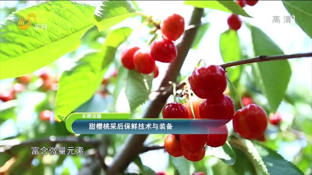2022年05月26日《农技推广在行动》：本期话题——甜樱桃采后保鲜技术与装备