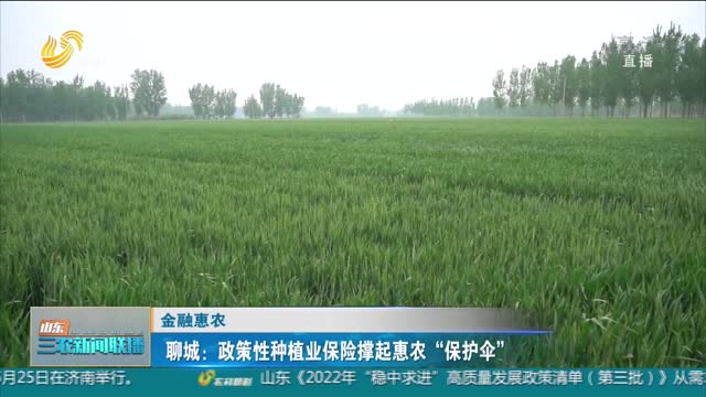 【金融惠农】聊城：政策性种植业保险撑起惠农“保护伞”