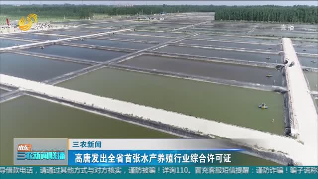【三农新闻】高唐发出全省首张水产养殖行业综合许可证