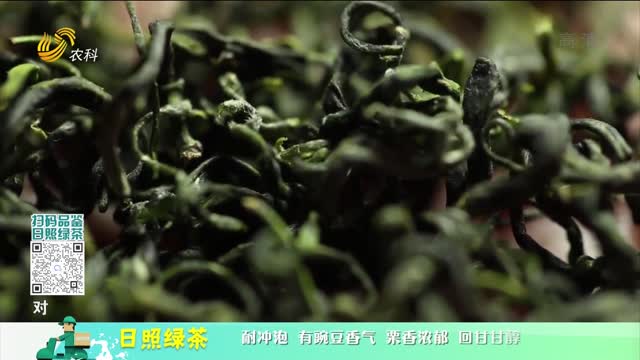 20220528《中国原产递》：日照绿茶