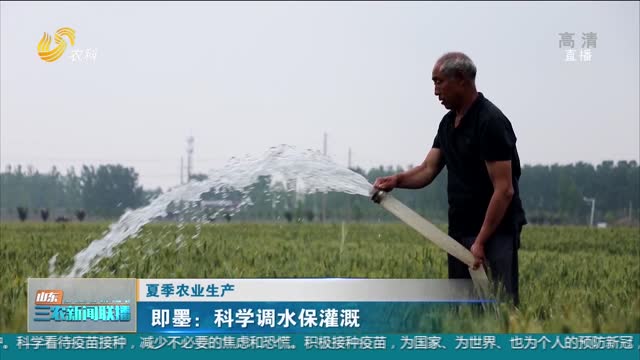 【夏季农业生产】即墨：科学调水保灌溉