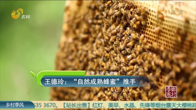 王德玲：“自然成熟蜂蜜”推手