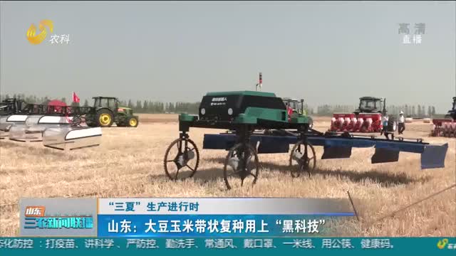 【“三夏”生产进行时】山东：大豆玉米带状复种用上“黑科技”