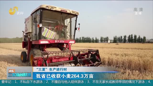 【“三夏”生产进行时】我省已收获小麦264.3万亩
