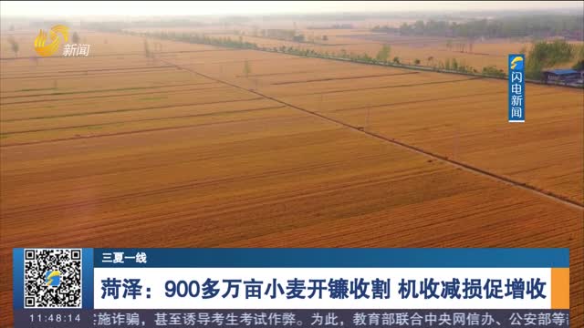 【三夏一线】菏泽：900多万亩小麦开镰收割 机收减损促增收