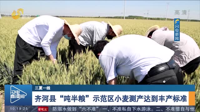 【三夏一线】齐河县“吨半粮”示范区小麦测产达到丰产标准