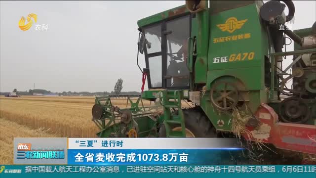 【“三夏”进行时】全省麦收完成1073.8万亩