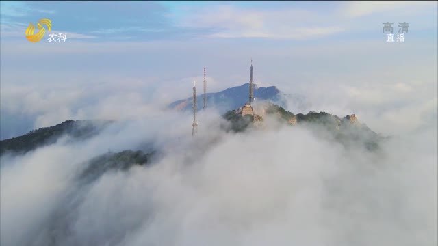 沂蒙山云海景观