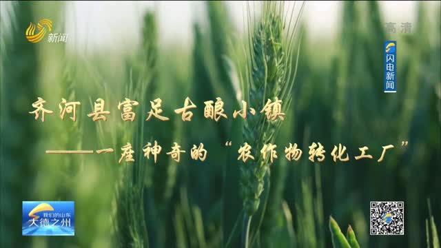 齐河县富足古酿小镇——一座神奇的“农作物转化工厂”